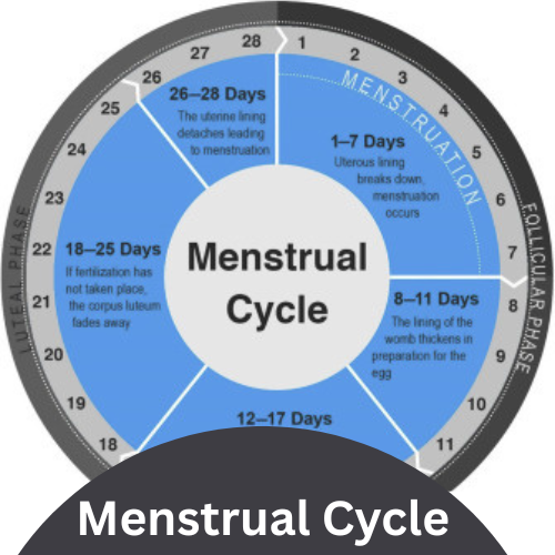 Sister secure Sanitary pad manufacturer